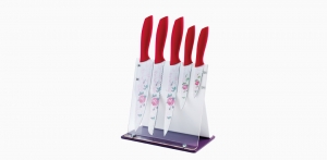 pp handle coating knife set with acrylic block